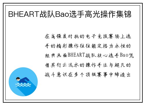 BHEART战队Bao选手高光操作集锦